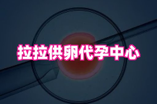 深圳助孕网站 3