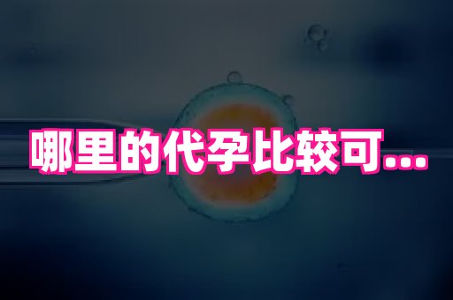 深圳助孕网站 4